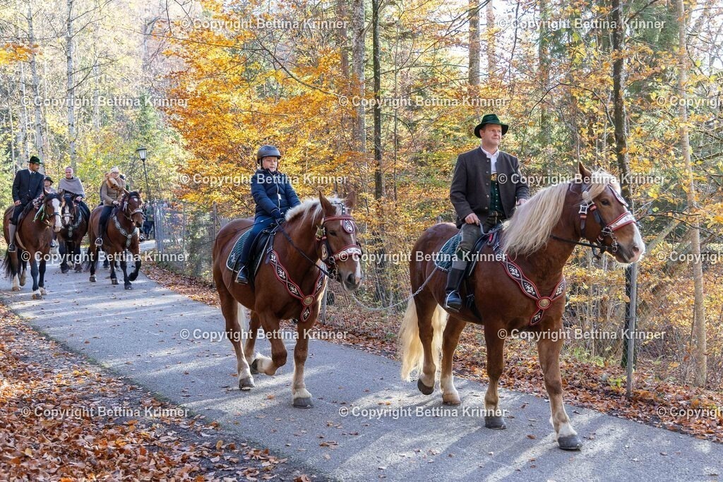 LL24-346 | foto-bettina-krinner - Realisiert mit Pictrs.com