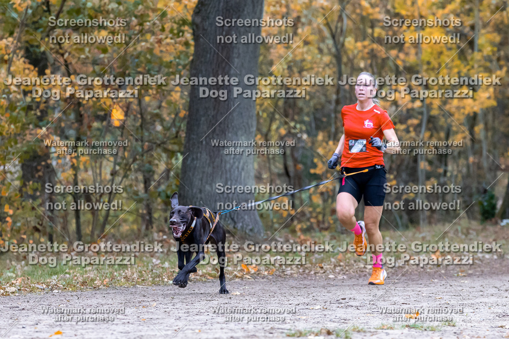 Dog Paparazzi - SD CaniX Championship 2025-399 | Dog Paparazzi Jeanette Grottendiek Fotografie & Videografie - Realisiert mit Pictrs.com