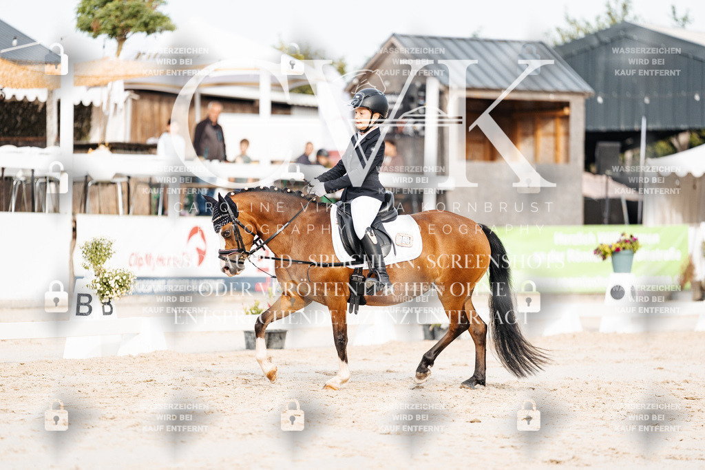 CK904301 | Turnierfotografie Pferdefotografie Trier Rheinland-Pfalz Pferdesport Reitsport Tierfotografie Sportfotografie Pferdevideo Pferdevideografie Equestrianvideography equestrianphotography  - Realisiert mit Pictrs.com