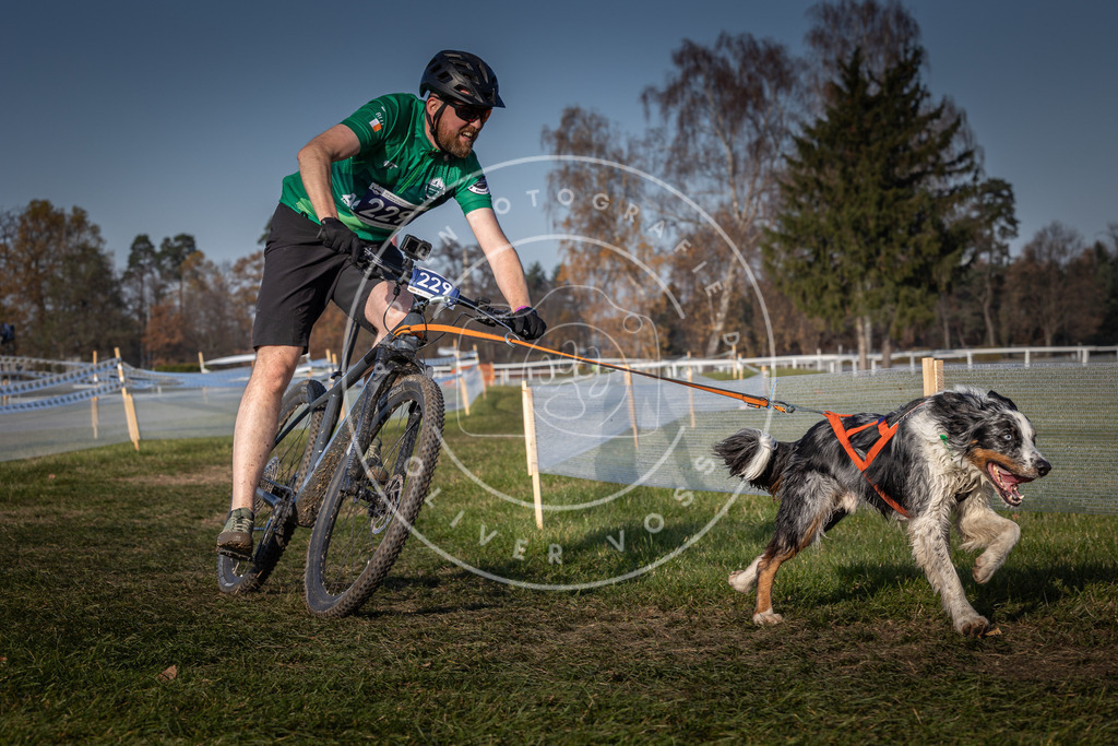 CaniXpix_0L8A7926 | Hundefotografie, Tierfotograf, Pfotenfotografie, Fotoshooting Hund, Hunde Portrait, Hundesport, Hundeportraits, Heideshooting, Hunde, Sportfotograf, Hundefotograf, Turnierhundsport, THS,  - Realisiert mit Pictrs.com
