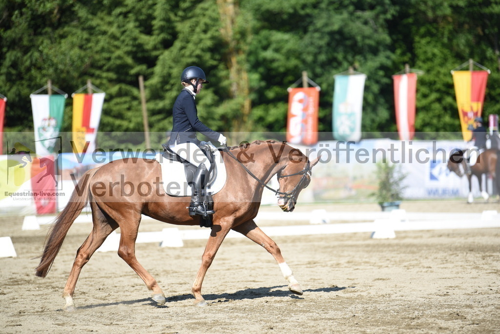 DSC_7605 | equestrian-live-com
