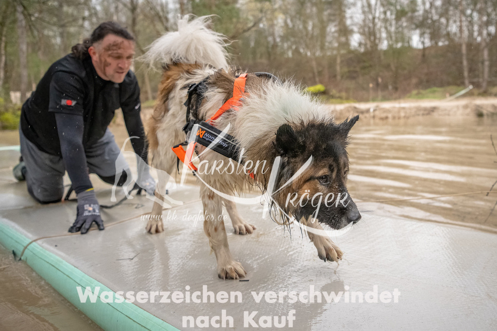 1057_ZZ93831-Bearbeitet | kk-dogfotos