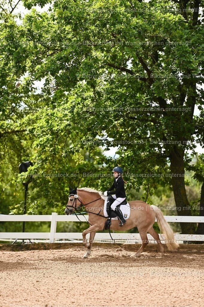 20230716_10-2_Reiter-WB Schritt - Trab - Galopp_0039 | equistock