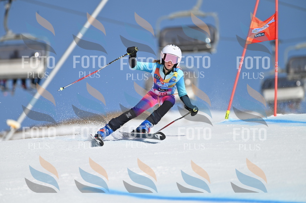 BGV_8328 | holidayphoto