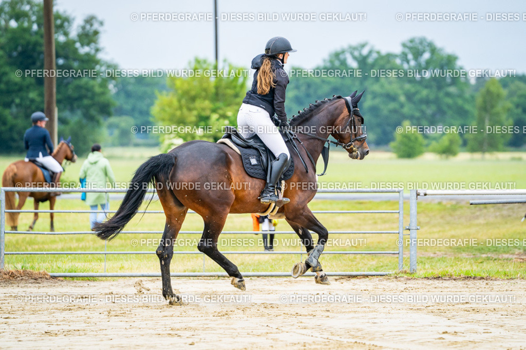 DSC01960 | Pferdegrafie