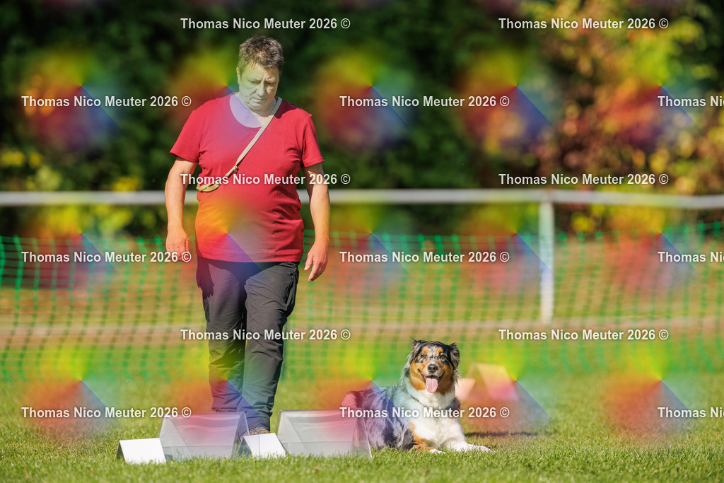 Thomas_Nico_Meuter(C)_04. Oktober 2026_223A2841 | Bild von Thomas Nico Meuter - Realisiert mit Pictrs.com