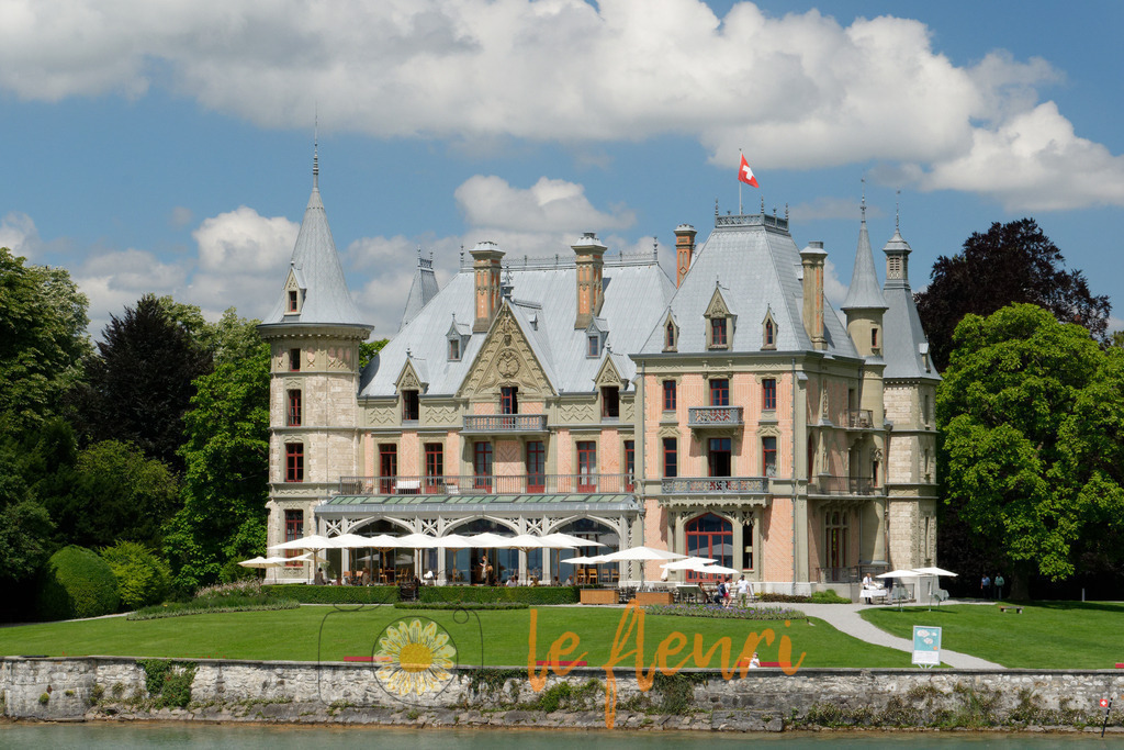 DSC_0013-NEF_DxO_HQ | Dies ist der Shop von Florian Blum - le fleuri. Langenthal, Bern, SchweizSie können hier meine oder ihre eigenen Fotos als Fotoprodukte kaufen. Tassen, Schlüsselanhänger, Taschen etc. können Sie hier gestalten.  - Realisiert mit Pictrs.com