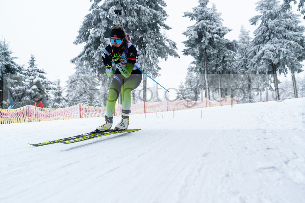 DP Oberwiesenthal | Alpencup/DP Deutschlandpokal in Oberwiesenthal am 15.-17.12.2023