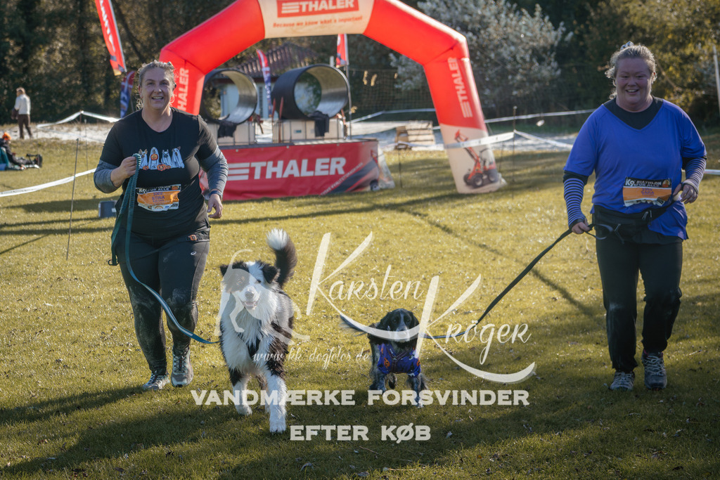 1202_ZZ94244 | kk-dogfotos