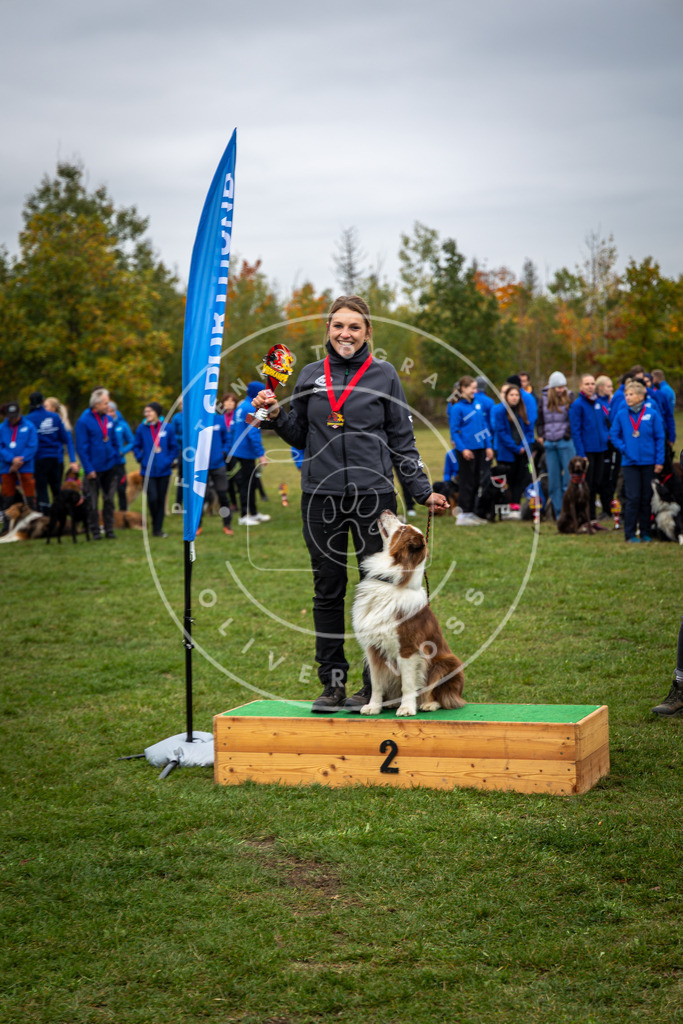 Pfotenfotografie_0L8A0536 | Hundefotografie, Tierfotograf, Pfotenfotografie, Fotoshooting Hund, Hunde Portrait, Hundesport, Hundeportraits, Heideshooting, Hunde, Sportfotograf, Hundefotograf, Turnierhundsport, THS,  - Realisiert mit Pictrs.com