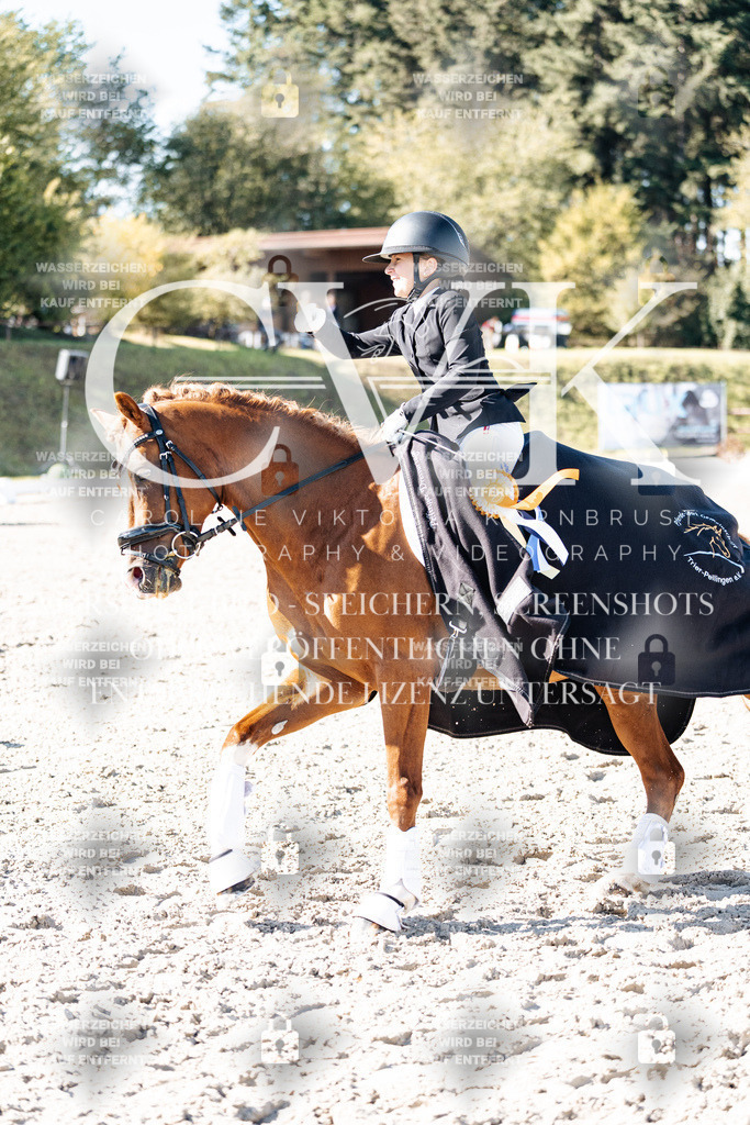 CK908490 | Turnierfotografie Pferdefotografie Trier Rheinland-Pfalz Pferdesport Reitsport Tierfotografie Sportfotografie Pferdevideo Pferdevideografie Equestrianvideography equestrianphotography  - Realisiert mit Pictrs.com