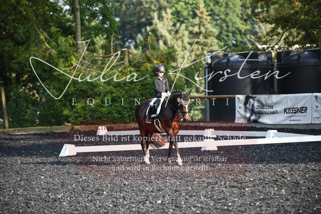 DSC_3507 | Pferde- und Turnierfotografie in Westsachsen. Pferdeportraits, Auftragszeichnungen und intuitive Kunst.