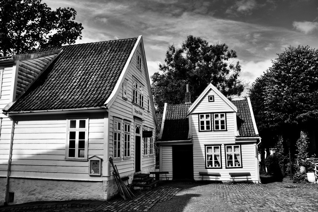 sw (13) | Tierfotografie / Haustierfotografie - Realisiert mit Pictrs.com