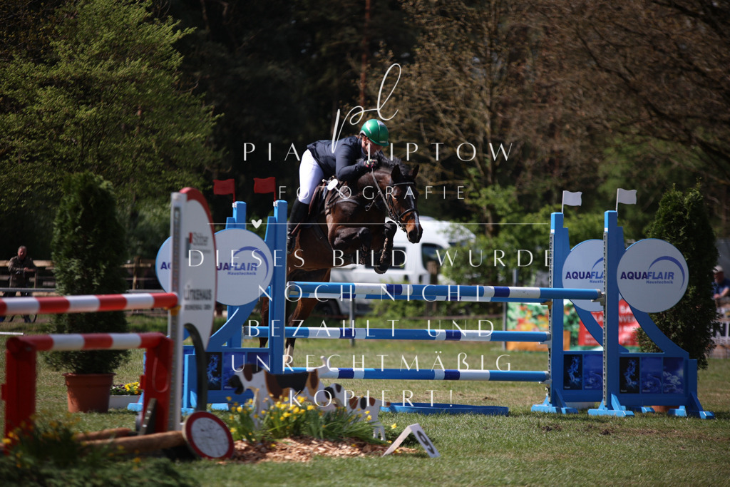 IMGT1211 | pl-fotografie