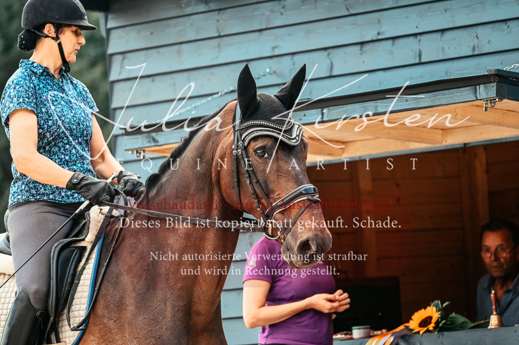 DSC_2628 | Pferde- und Turnierfotografie in Westsachsen. Pferdeportraits, Auftragszeichnungen und intuitive Kunst.