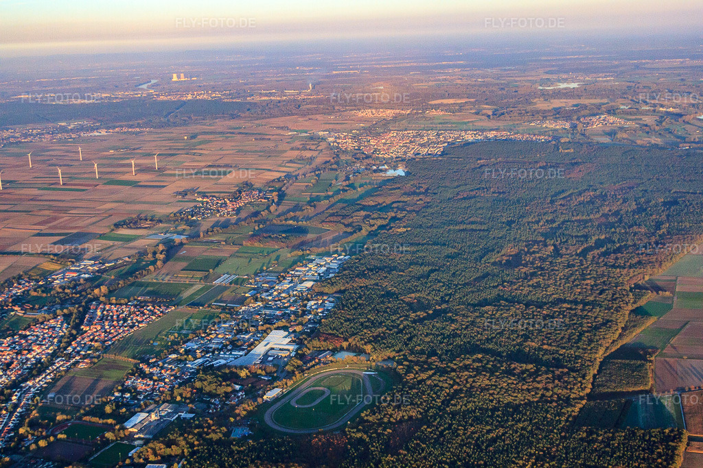 Luftbild: Waldgebiet bis Rülzheim von Westen in Herxheim bei Landau im Bundesland Rheinland-Pfalz in Deutschland. Foto: IMG_60784.jpg vom 31.10.2013 durch Werner Riehm/FLY-FOTO.deAuflösung des Originals: 4752 x 3168 px