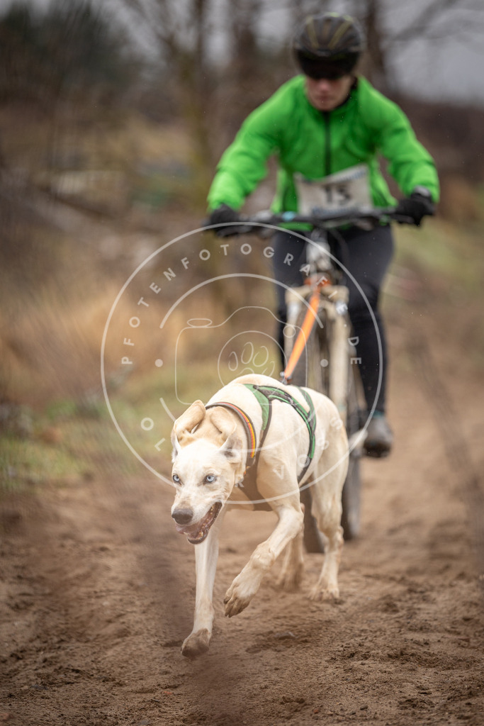 DV3A8979 | Hundefotografie, Tierfotograf, Pfotenfotografie, Fotoshooting Hund, Hunde Portrait, Hundesport, Hundeportraits, Heideshooting, Hunde, Sportfotograf, Hundefotograf, Turnierhundsport, THS,  - Realisiert mit Pictrs.com