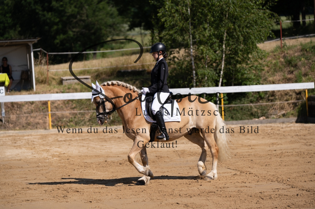 A7V07731 | Turnier/Reitfotograf