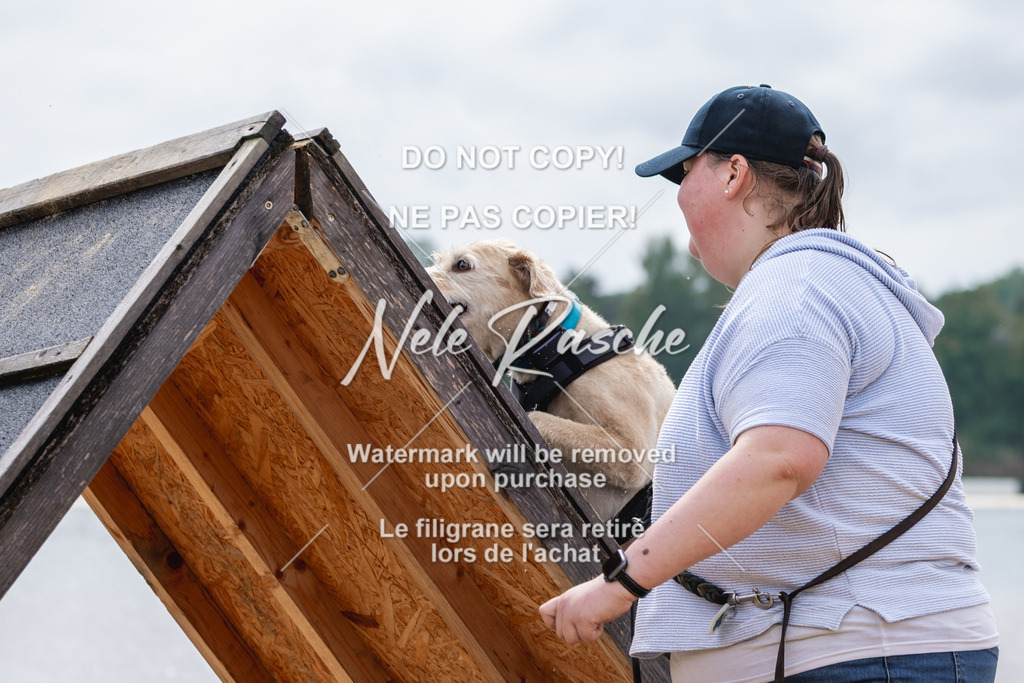 nelerasche_BuHu2026_So1530-Ende_72 | nelerasche