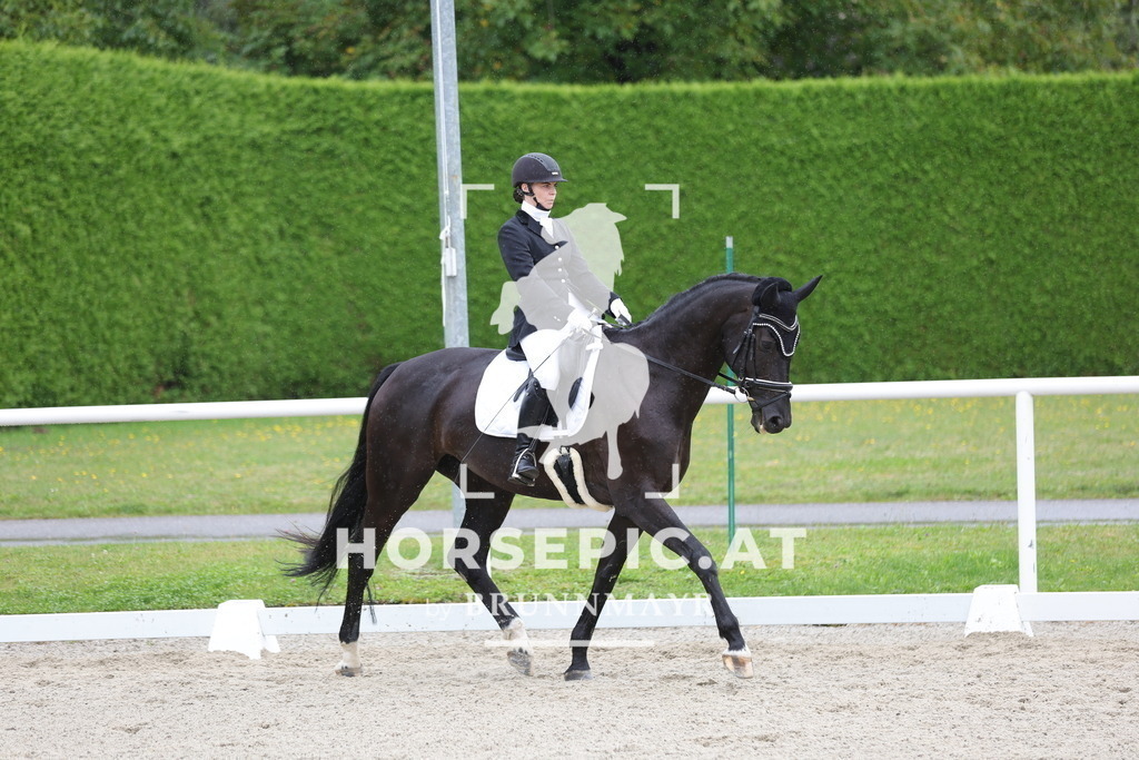 0P6A9358 | Willkommen bei Brunnmayr - Design & Fotografie – Ihrem Spezialisten für Reitturniere und Pferdeveranstaltungen in Oberösterreich, Salzburg und Bayern! Seit über 17 Jahren sind wir leidenschaftlich dabei.