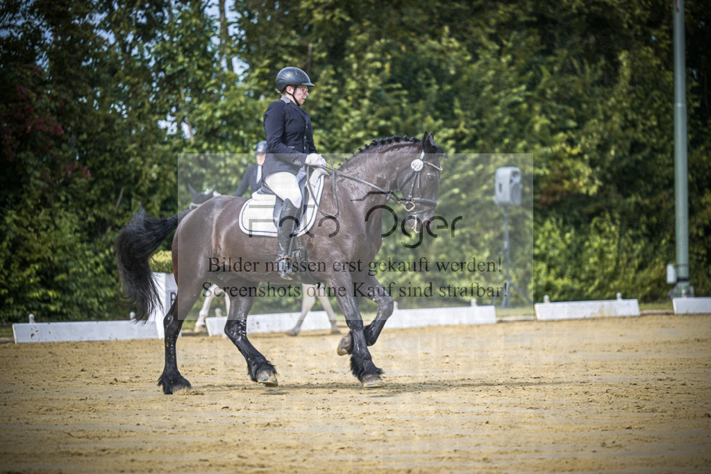 DOS_5007 | Entdecke hochwertige Reitturnierfotos von Foto Oger. Professionell, emotional und authentisch – jetzt Lieblingsmomente im Shop bestellen.Deutschlandweite Turnierfotografie. - Realisiert mit Pictrs.com