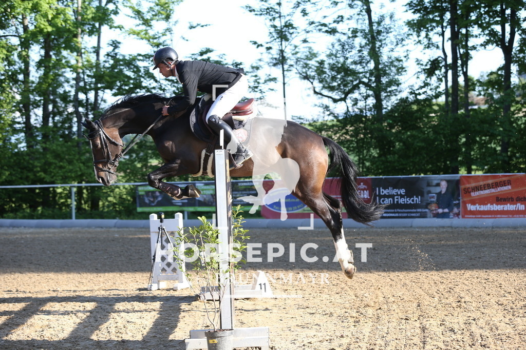 DL2Q2980 | Willkommen bei Brunnmayr - Design & Fotografie – Ihrem Spezialisten für Reitturniere und Pferdeveranstaltungen in Oberösterreich, Salzburg und Bayern! Seit über 17 Jahren sind wir leidenschaftlich dabei.