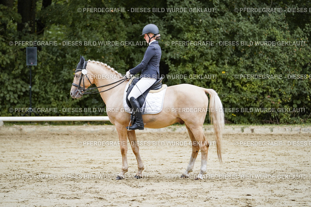 DSC08858 | Pferdegrafie