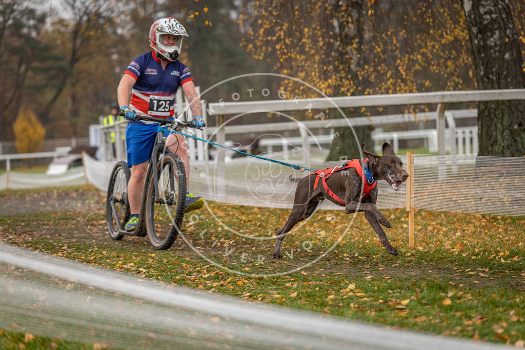 CaniXpix_DV3A8669 | Hundefotografie, Tierfotograf, Pfotenfotografie, Fotoshooting Hund, Hunde Portrait, Hundesport, Hundeportraits, Heideshooting, Hunde, Sportfotograf, Hundefotograf, Turnierhundsport, THS,  - Realisiert mit Pictrs.com
