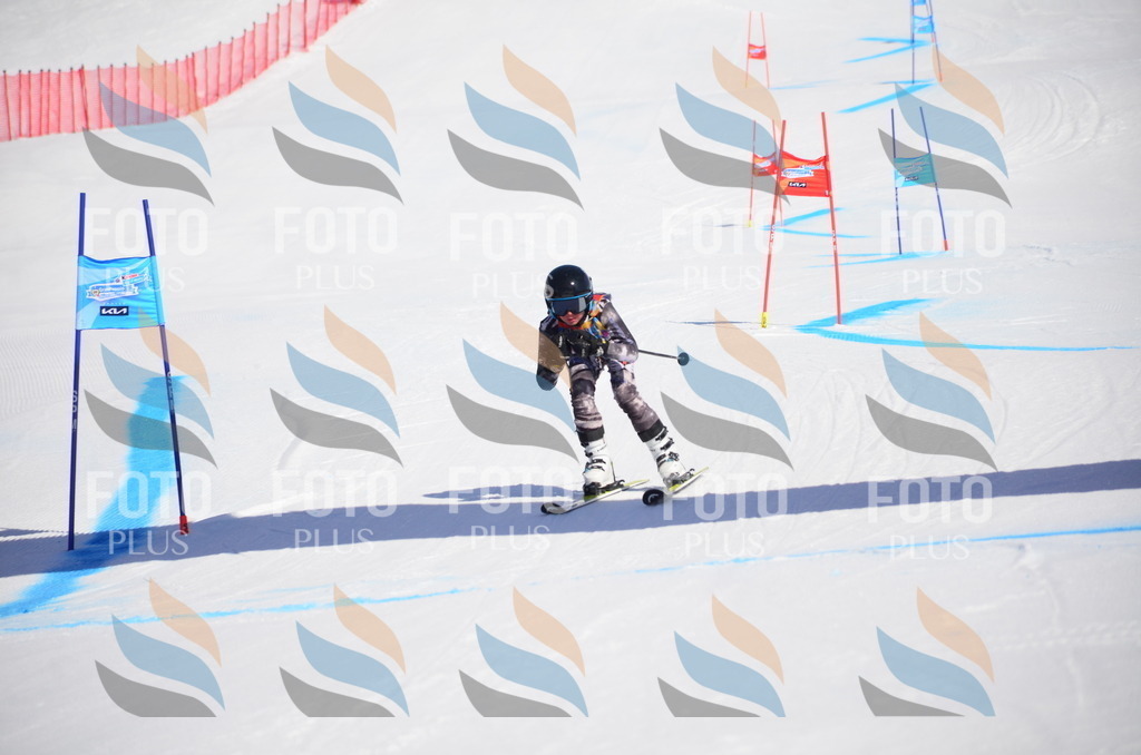 VR4_9586 | holidayphoto