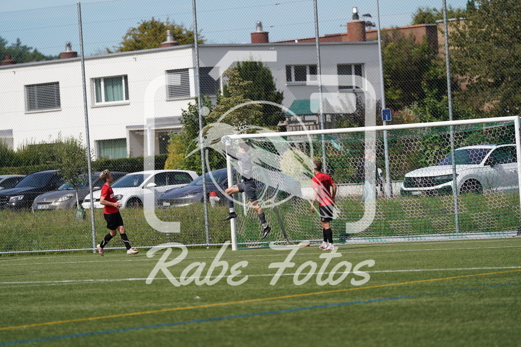 DSC08893 | rabefotos