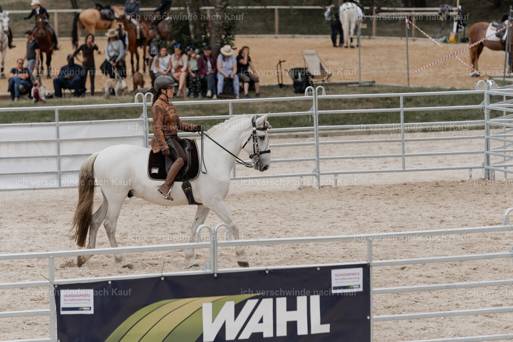 WE__Stoib_Rinder_PI2025_3125 | Pferd International München 2025