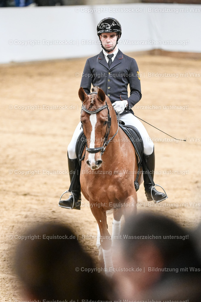 20260307_Hengstvorstellung-Marbach_0226 | equistock