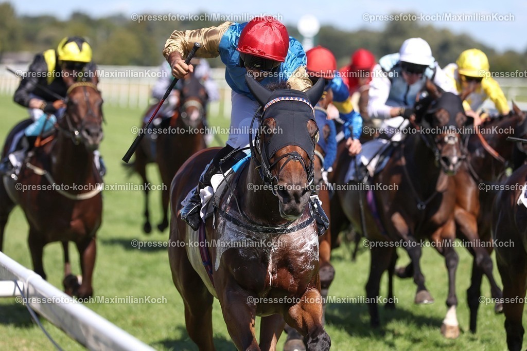 BBmx31082599008 | The Strikin Viking siegt unter Faleh Bughenaim in der 155. Casino Baden-Baden Goldene Peitsche Gr.3 am 31.08.2025 Renntag in Baden-Baden. Copyright by Marc Ruehl - Veroeffentlichung nur gegen Honorar (zzgl.MwSt), Namensnennung und Beleg, Bank Routing Number: BIC GENODED1PAF, Bank Account Number: IBAN DE04 3706 2600 1201 6180 17, Steuer-Nr.: 203/5266/0306, Ust_Id_Nr.: De 122081417, Zur Gaulshuette 29, 50181 Bedburg, Phone: +49-(0)2272-83351, www.marcruehl.com, info@marcruehl.com, No Model Release, Abtretung von Persoenlichkeitsrechten der abgebildeten Person/Personen liegen nicht vor. Speichern in Bilddatenbanken oder Vervielfaeltigung ist ohne schriftliche Genehmigung nicht gestattet.