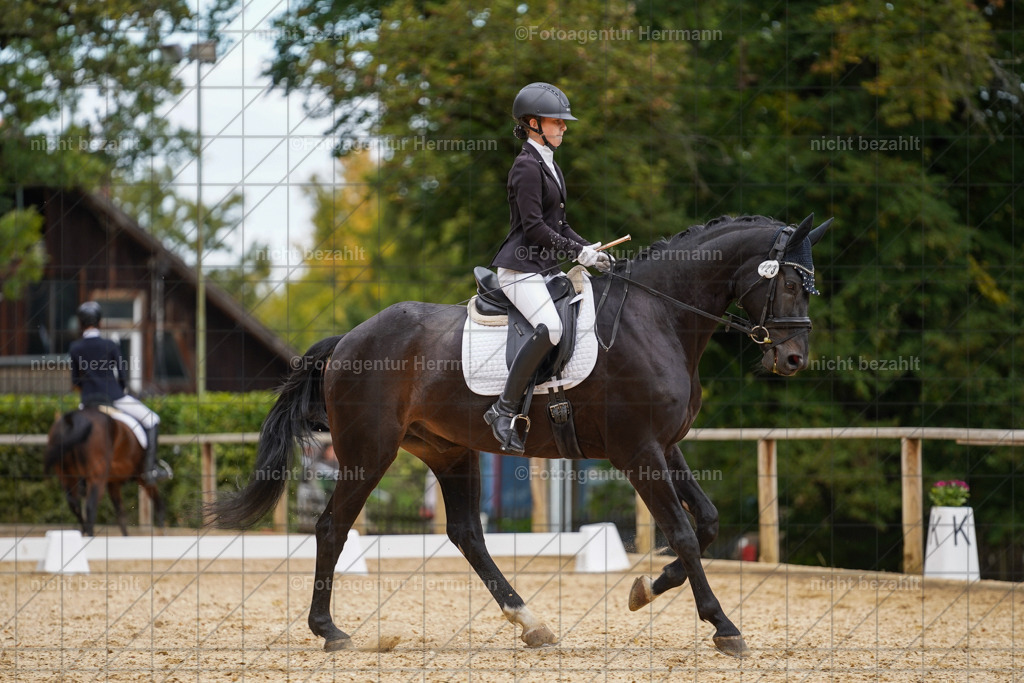 20231007-SN_00556 | Diessen am Ammersee, 2023, Dressur- und Springturnier, Reitsport, Turnierfotografie, Pferdebilder, Reitbilder, Turnierfotografen Bayern, Fotoagentur Herrmann