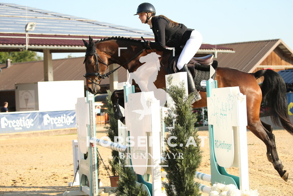 DL2Q6539 | Willkommen bei Brunnmayr - Design & Fotografie – Ihrem Spezialisten für Reitturniere und Pferdeveranstaltungen in Oberösterreich, Salzburg und Bayern! Seit über 17 Jahren sind wir leidenschaftlich dabei.