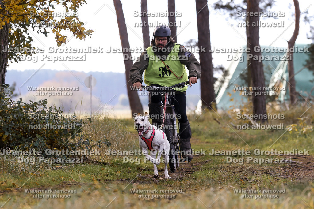 Dog Paparazzi - Elsholz 25 -138 | Dog Paparazzi Jeanette Grottendiek Fotografie & Videografie - Realisiert mit Pictrs.com