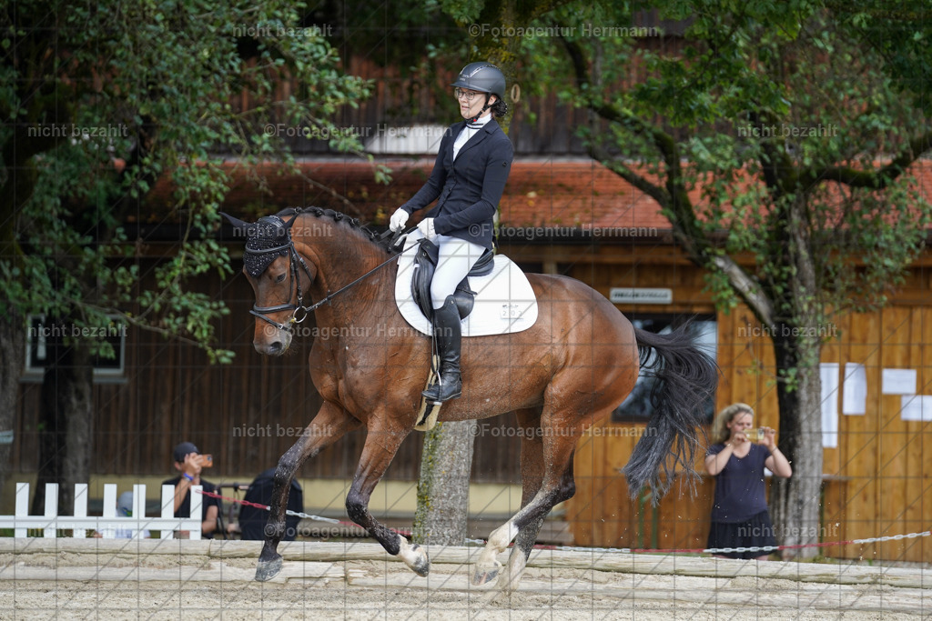 20230826-FAH05099 | Forstinning, 2023, Dressurturnier, Turniersportbilder, Turnierfotografen Bayern, Fotoagentur Herrmann, Reitsportfotografie, Turnierbilder