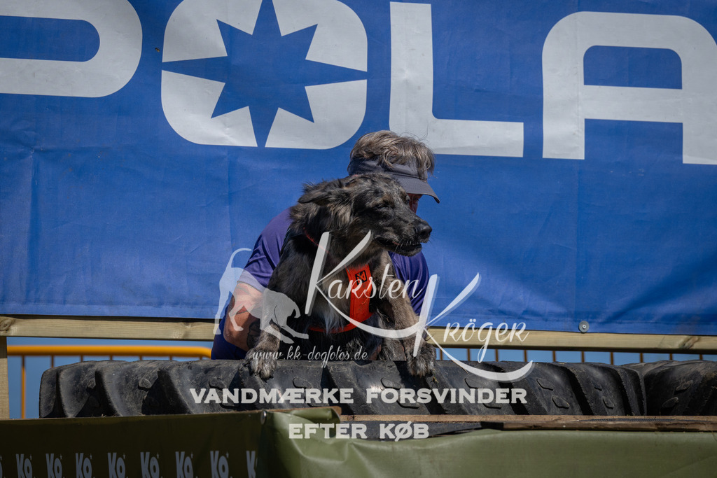 1249_ZZ96819 | kk-dogfotos