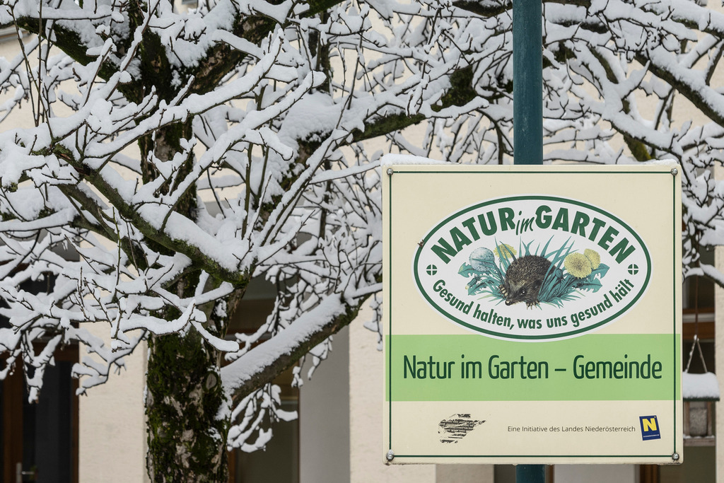 _ 3382_WINTER26_8024 | WInteraufnahmen Loosdorf 2026