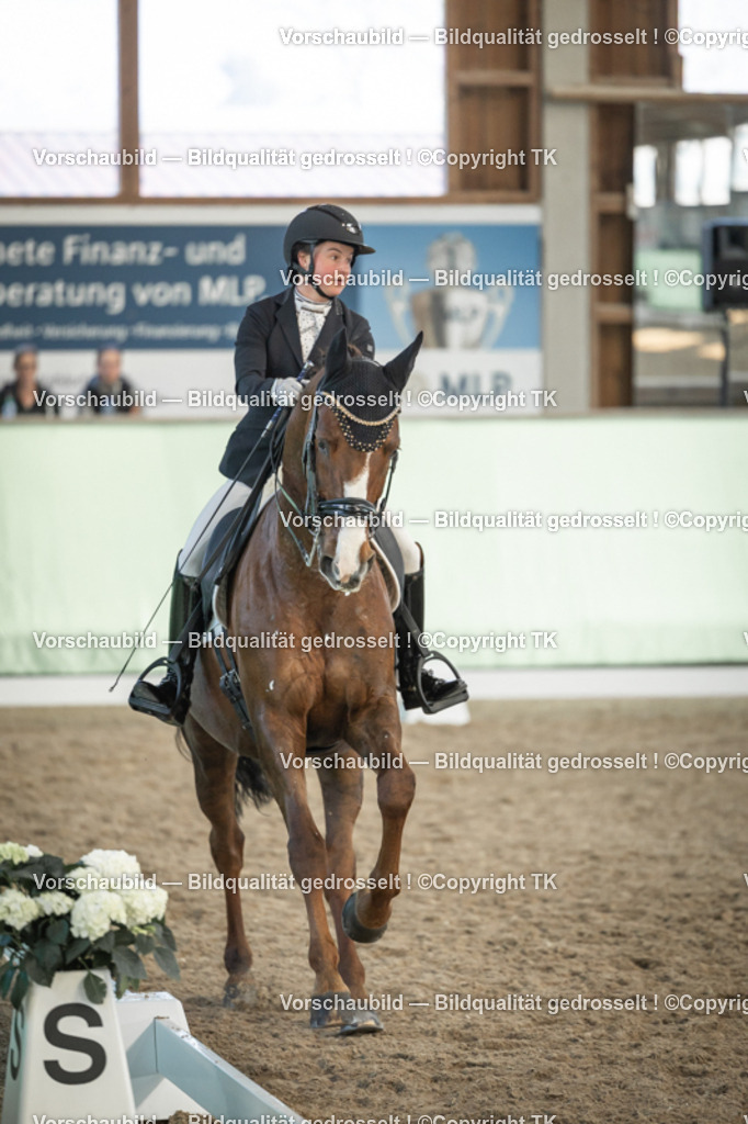 _D5A3125 | Emotionale Pferde- & People-Fotografie rund um Heidelberg, Leimen & Umgebung. Natürliche Fotos von Pferd, Mensch & Familie. Jetzt Termin sichern!