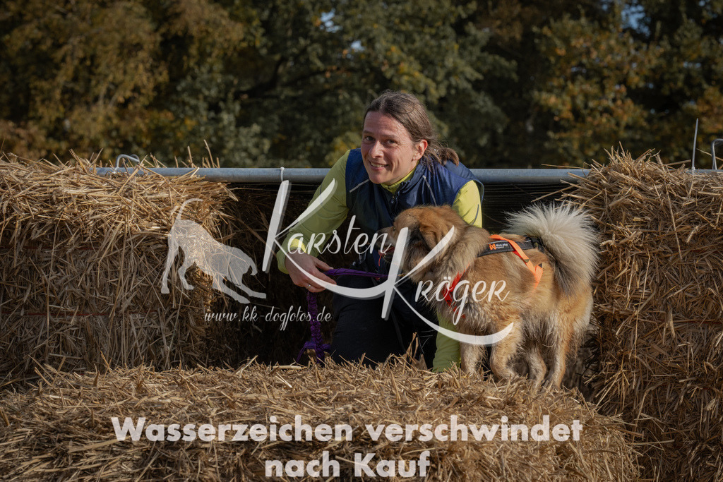 1044_ZZ99172 | kk-dogfotos