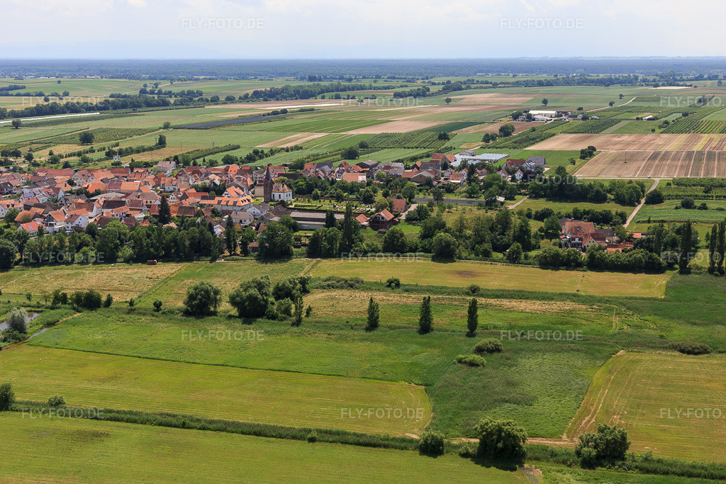 Luftbild: Billigheimer Bruch aus Norden in Winden im Bundesland Rheinland-Pfalz in Deutschland. Foto: IMG_127234.jpg vom 26.06.2021 durch Werner Riehm/FLY-FOTO.de