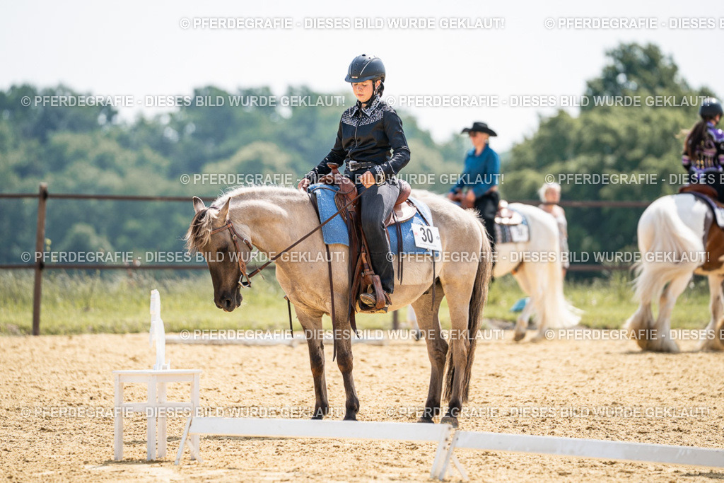 DSC09904 | Pferdegrafie