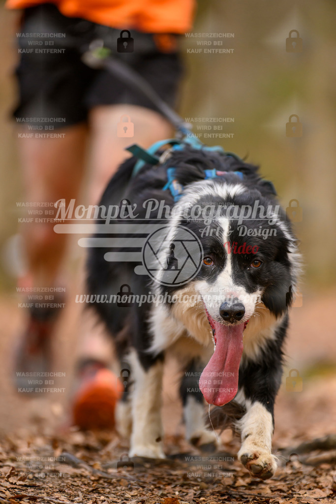 MompixPhotography_Habay2025_SA_CCC-237 | PayLife