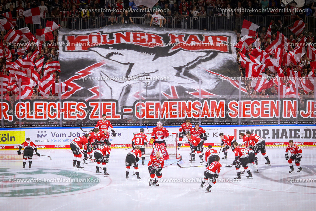 KoeDEL15092301041 | 15.09.2023, Köln, Eishockey, Penny DEL, Spieltag 1, Lanxess-Arena, Kölner Haie -  Nürnberg Ice Tigers: Choreografie der Ultras auf der Tribüne. Großes Banner mit Logo Wappen der Haie und Schriftzug Neues Jahr, Gleiches Ziel, Gemeinsam Siegen in Jedem Spiel.. Die Mannschaft steht auf dem Eis.