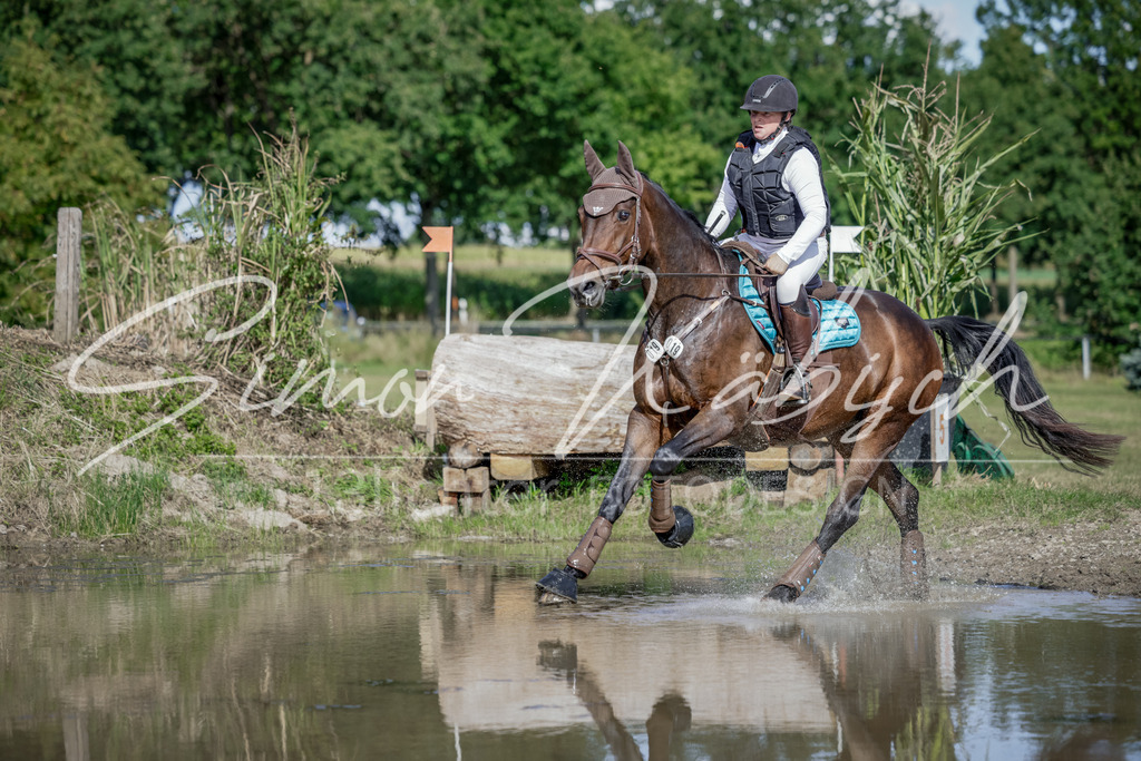 20250906-_3LI6825 | Tierfotografie Pferde, Hunde, Katzen, Haustiere.
Turnierfotografie Reitturniere, Reiten, Springreiten, Dressur in Hanau, dem Main-Kinzig-Kreis und dem Rhein-Main- Gebiet um Frankfurt