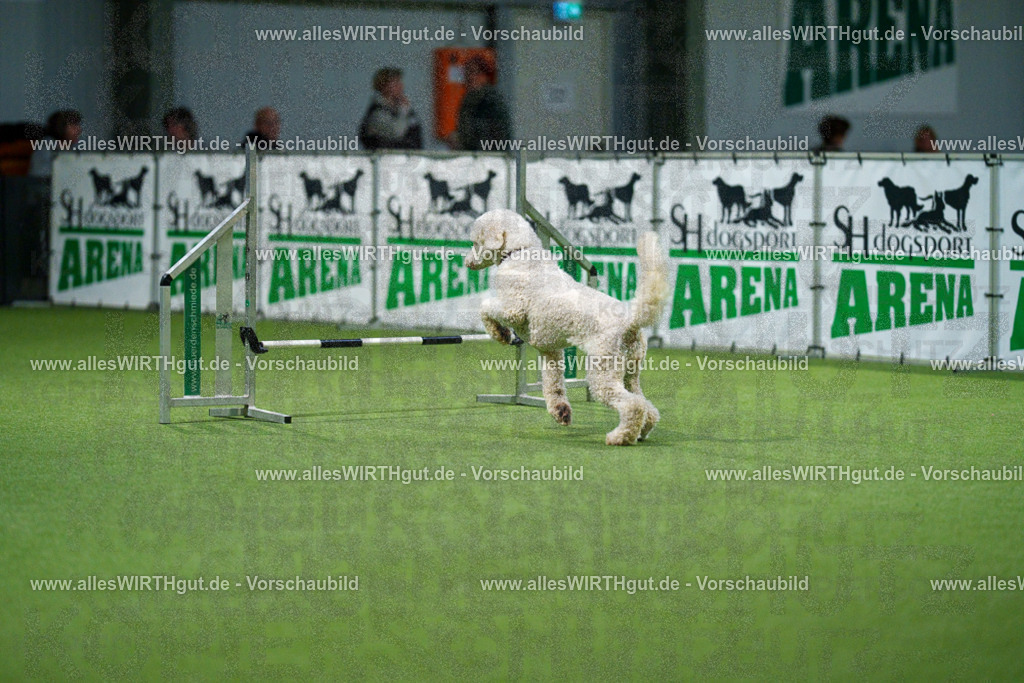 7R505524 | Professionelle Tierfotografie in Mönchengladbach von Daniel Wirth (allesWIRTHgut). Liebevolle & natürliche Bilder von Hunden & Katzen für unvergessliche Erinnerungen.