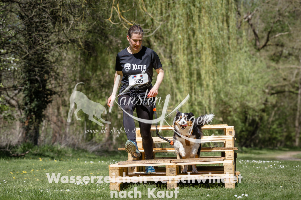 1254_ZZ94939 | kk-dogfotos
