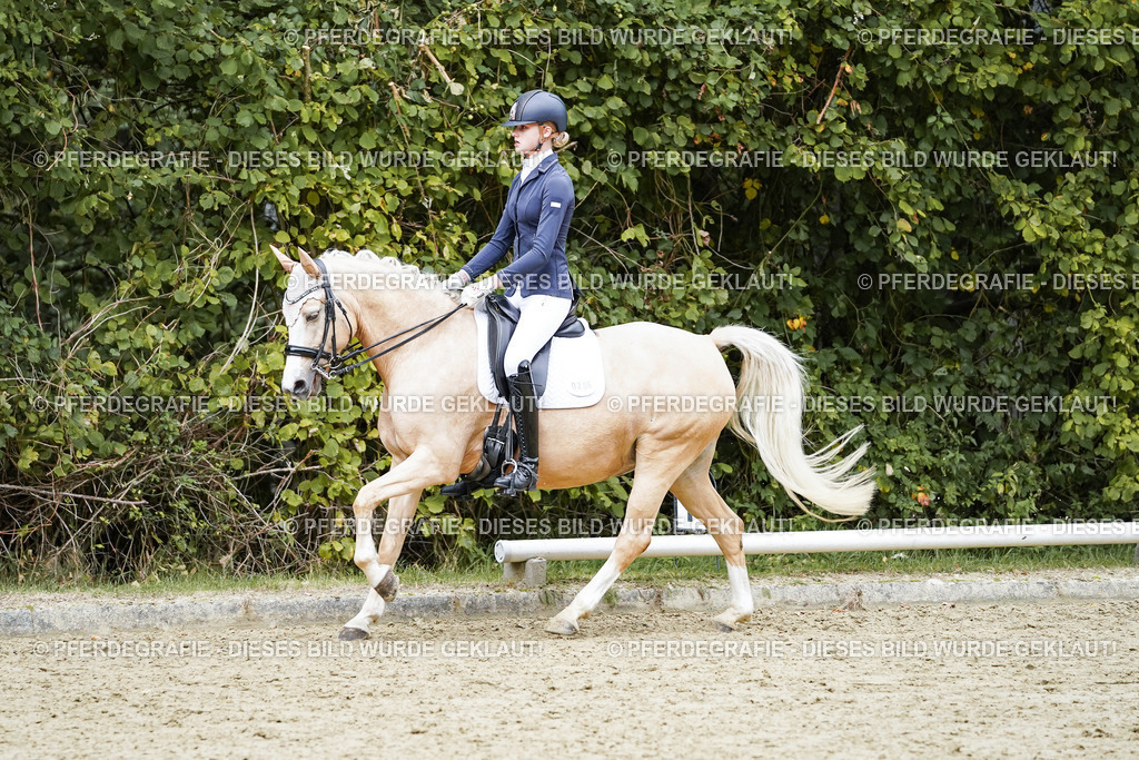 DSC07556 | Pferdegrafie