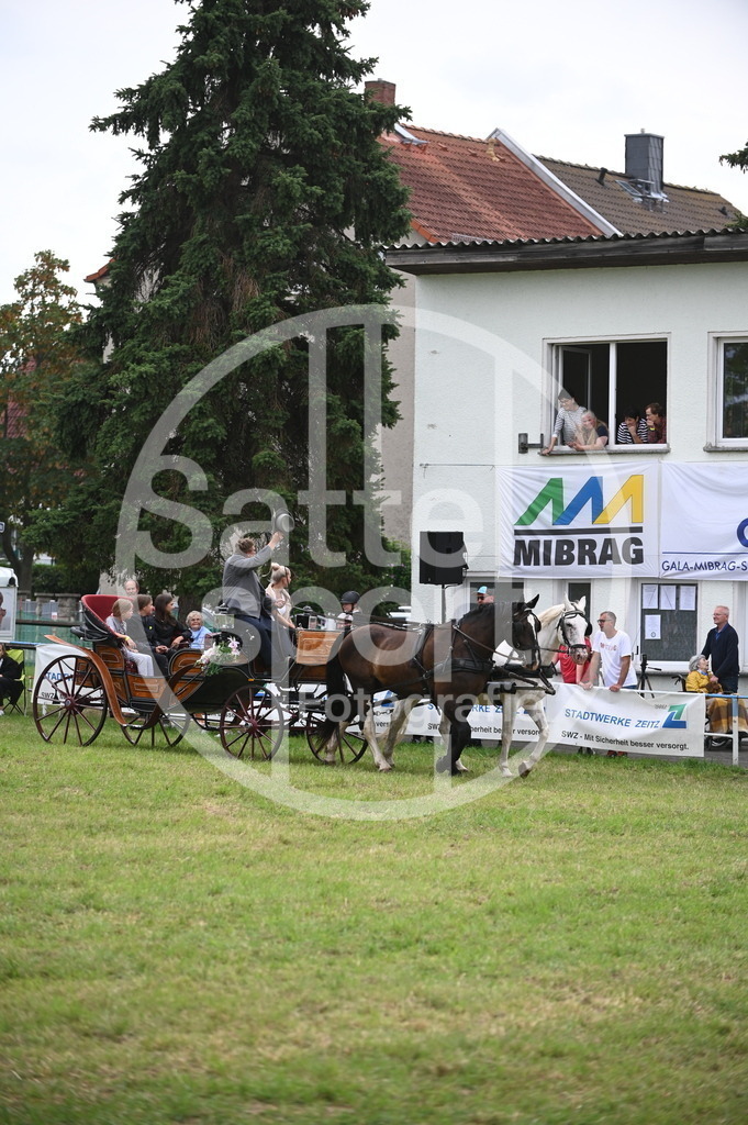 DSC_2803 | sattelsport - Realisiert mit Pictrs.com